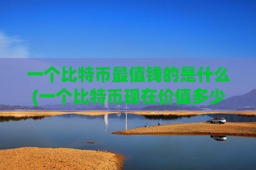 一个比特币最值钱的是什么(一个比特币现在价值多少)