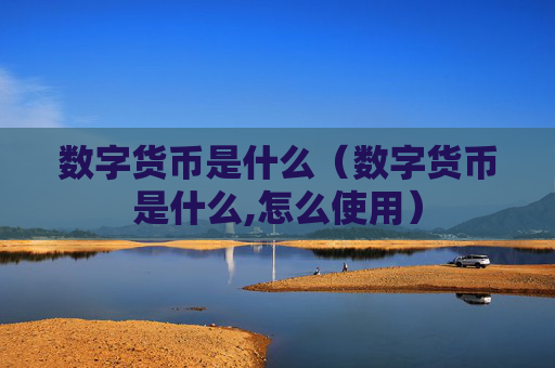 数字货币是什么（数字货币是什么,怎么使用）