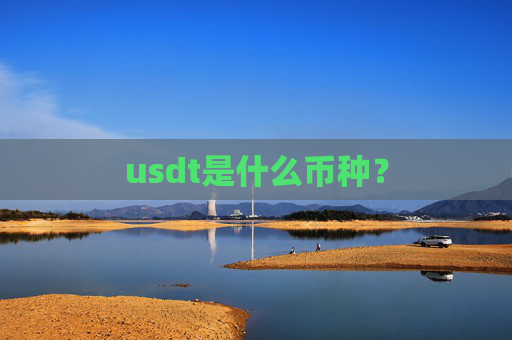 usdt是什么币种?
