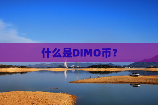什么是DIMO币?