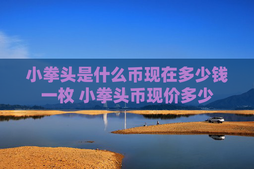 小拳头是什么币现在多少钱一枚 小拳头币现价多少