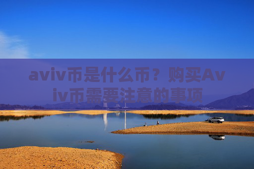 aviv币是什么币?购买Aviv币需要注意的事项