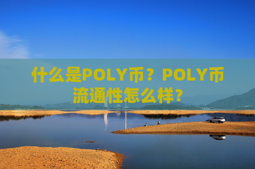 什么是POLY币?POLY币流通性怎么样?