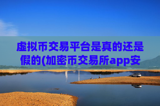 虚拟币交易平台是真的还是假的(加密币交易所app安全设置建议)