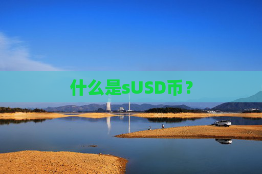 什么是sUSD币?