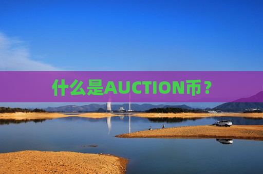 什么是AUCTION币?