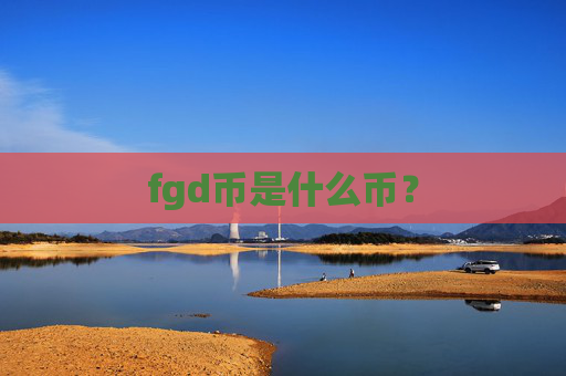 fgd币是什么币?