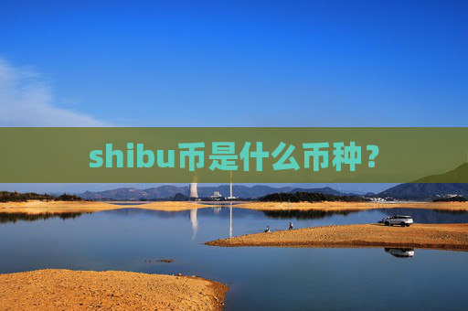 shibu币是什么币种?