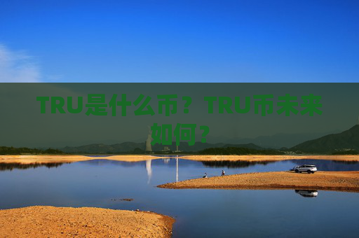 TRU是什么币?TRU币未来如何?