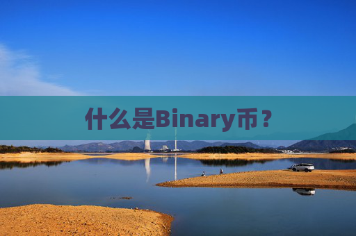 什么是Binary币?