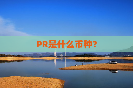 PR是什么币种?