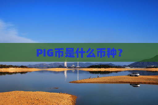 PIG币是什么币种?