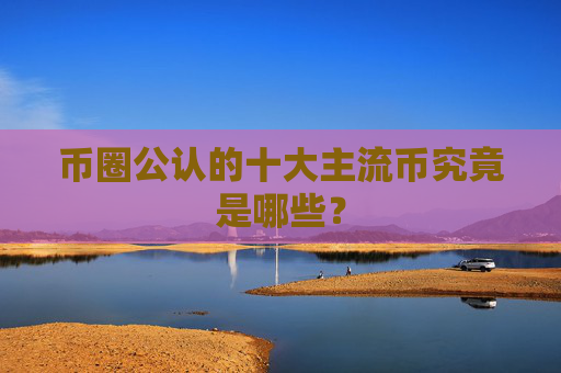 币圈公认的十大主流币究竟是哪些?