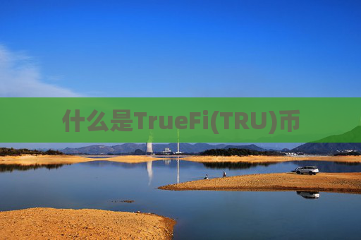 什么是TrueFi(TRU)币