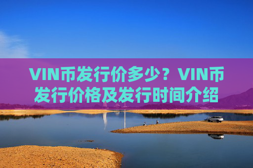 VIN币发行价多少?VIN币发行价格及发行时间介绍