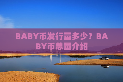 BABY币发行量多少?BABY币总量介绍