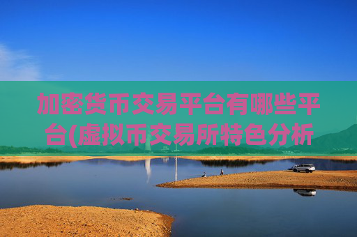 加密货币交易平台有哪些平台(虚拟币交易所特色分析)