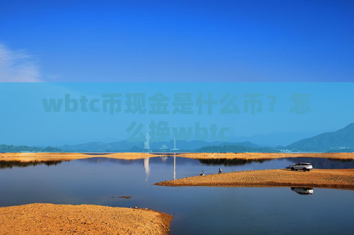 wbtc币现金是什么币?怎么换wbtc
