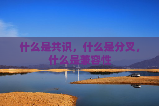 什么是共识，什么是分叉，什么是兼容性