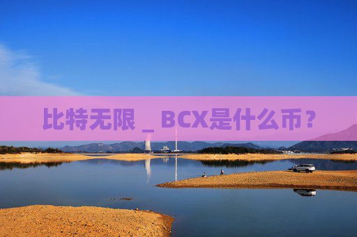 比特无限 _ BCX是什么币？