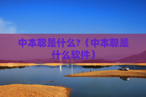 中本聪是什么?(中本聪是什么软件)