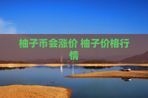 柚子币会涨价 柚子价格行情
