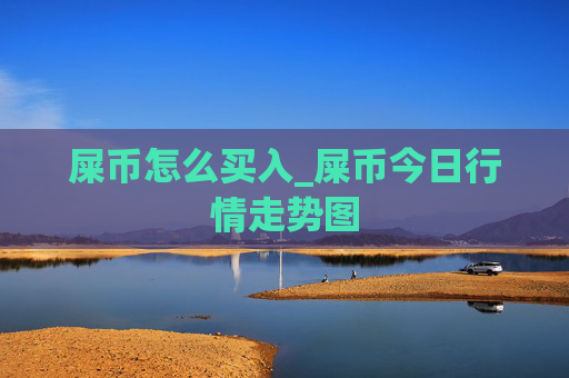 屎币怎么买入_屎币今日行情走势图