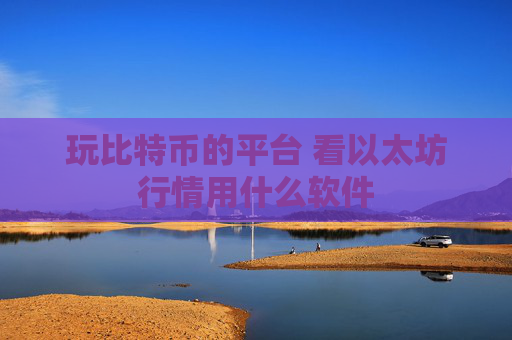 玩比特币的平台 看以太坊行情用什么软件
