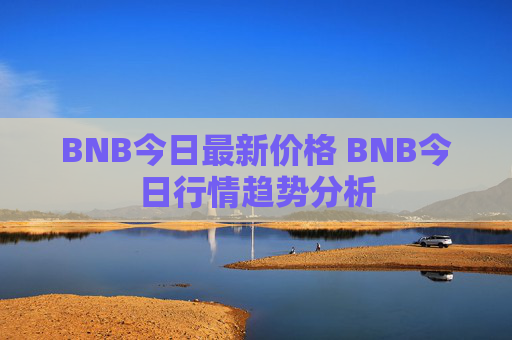 BNB今日最新价格 BNB今日行情趋势分析