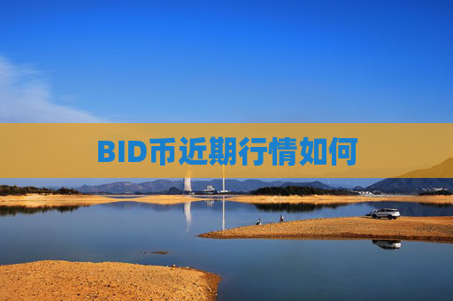 BID币近期行情如何