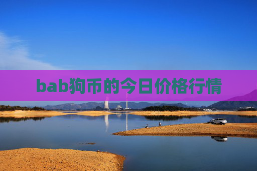 bab狗币的今日价格行情