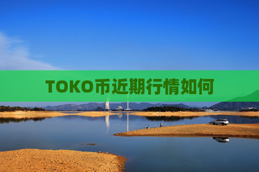 TOKO币近期行情如何