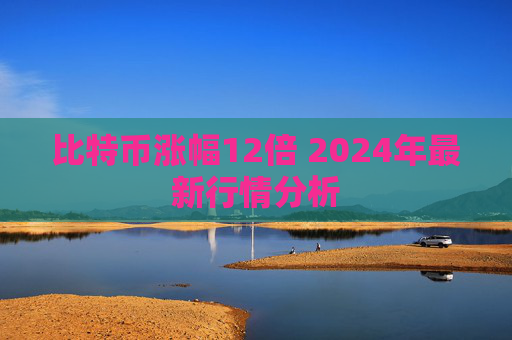 比特币涨幅12倍 2024年最新行情分析