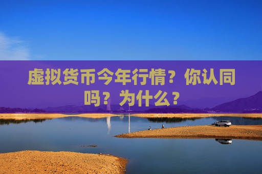 虚拟货币今年行情?你认同吗?为什么?