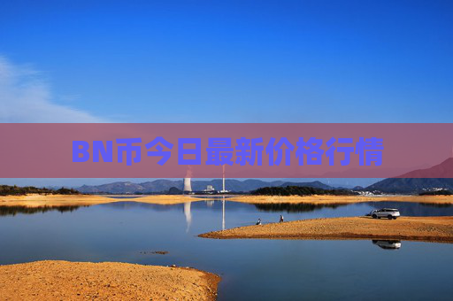 BN币今日最新价格行情