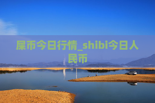 屎币今日行情_shibi今日人民币
