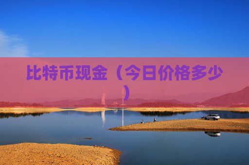 比特币现金(今日价格多少)