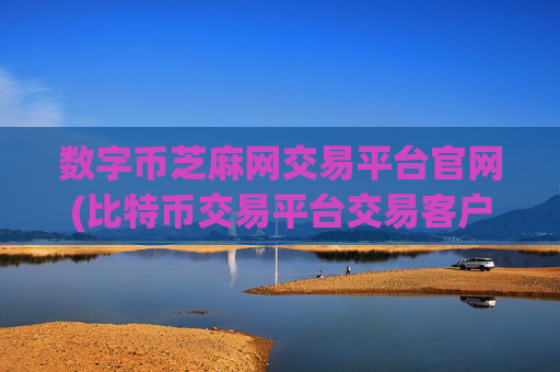 数字币芝麻网交易平台官网(比特币交易平台交易客户端)