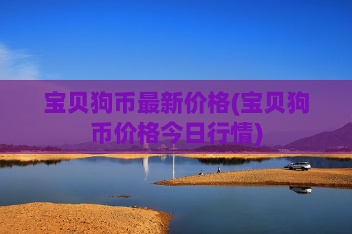 宝贝狗币最新价格(宝贝狗币价格今日行情)