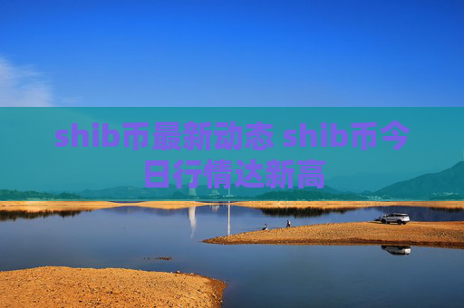 shib币最新动态 shib币今日行情达新高