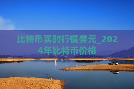 比特币实时行情美元_2024年比特币价格