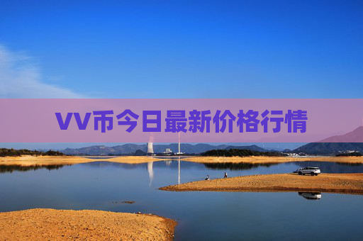 VV币今日最新价格行情
