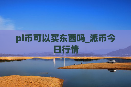 pi币可以买东西吗_派币今日行情
