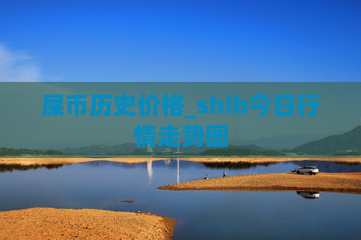 屎币历史价格_shib今日行情走势图