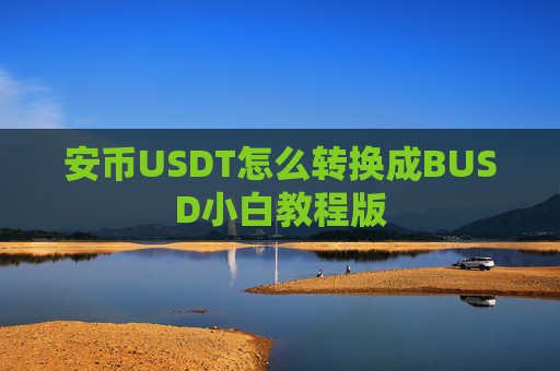 安币USDT怎么转换成BUSD小白教程版