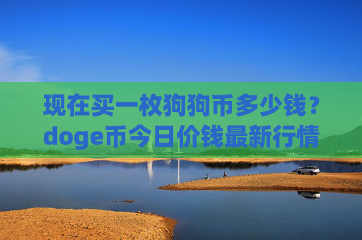 现在买一枚狗狗币多少钱?doge币今日价钱最新行情(现价2.4004元)