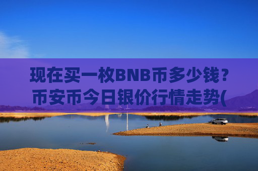 现在买一枚BNB币多少钱?币安币今日银价行情走势(现价4831.01元)