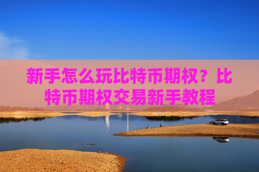 新手怎么玩比特币期权?比特币期权交易新手教程