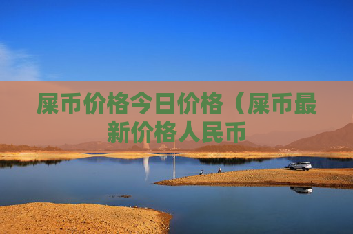 屎币价格今日价格(屎币最新价格人民币