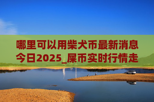 哪里可以用柴犬币最新消息今日2025_屎币实时行情走势